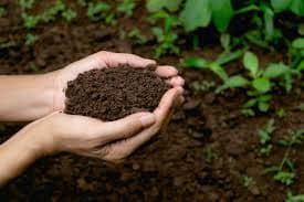 Nghị định 35/2017/NĐ-CP quy định về thu tiền sử dụng đất, thu tiền thuê đất, thuê mặt nước trong khu kinh tế, khu công nghệ cao.
