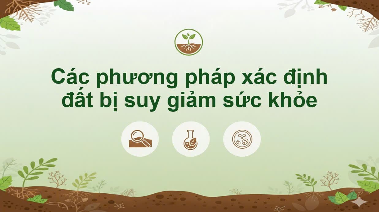Các phương pháp xác định suy giảm sức khỏe đất