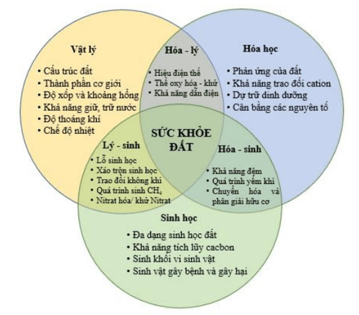 Giới thiệu về Sức khỏe Đất